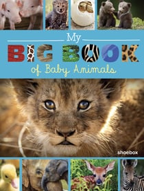 My Big Book of Baby Animals