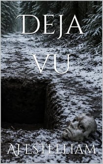Deja vu - Emerson and Snow, #22