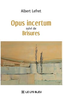 Opus incertum suivi de  Brisures