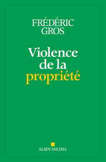 Violence de la propriété