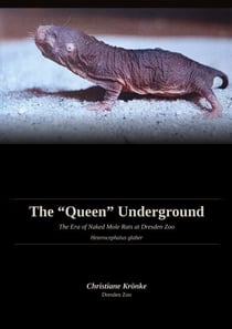 The Queen Underground - The Era of Naked Mole Rats at Dresden Zoo