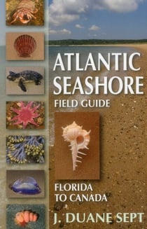 Atlantic Seashore Field Guide - Florida to Canada
