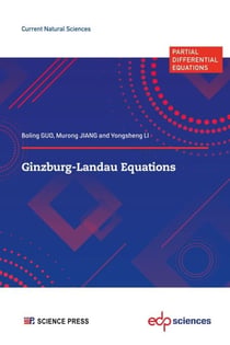Ginzburg-Landau Equations