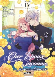 Cher époux inconnu, je veux divorcer - Tome 4