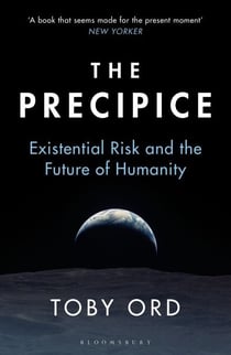 The Precipice - ‘A book that seems made for the present moment’ New Yorker