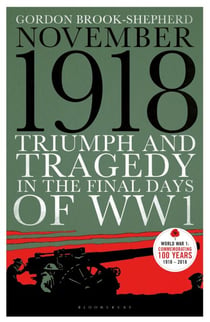 November 1918 - Triumph and Tragedy in the Final Days of WW1