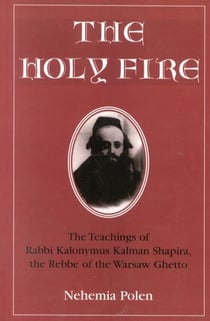 The Holy Fire - The Teachings of Rabbi Kalonymus Kalman Shapira, the Rebbe of the Warsaw Ghetto