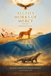 Allah's Works of Mercy - Allah's Works of Mercy, #2