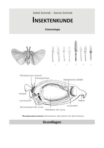 Insektenkunde - Entomologie verstehen und im Studium gezielt anwenden