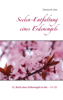 Seelen~Entfaltung eines Erdenengels - 12. Buch eines Erdenengels in der ~ 11~22