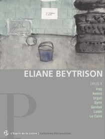 Eliane Beytrison | opus 1 - Iraq | Aveiro | Urgull | Syrie | Genève | Labin | Le Caire