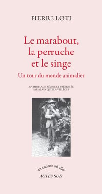 Le marabout, la perruche et le singe - Un tour du monde animalier