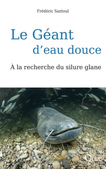 Le Géant d'eau douce - À la recherche du silure glane