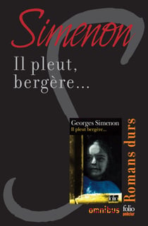 Il pleut, bergère... - Romans durs