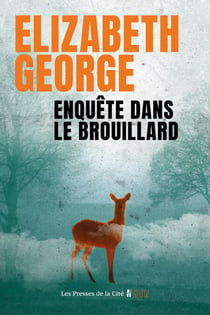 Enquête dans le brouillard