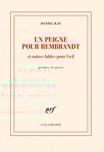 Un peigne pour Rembrandt et autres fables pour l’œil