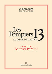 Les Pompiers 13 au cœur de l'action