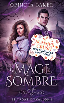 Le mage sombre, Le Trône d'Avallon - tome 1