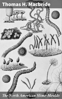 The North American Slime-Moulds - A Descriptive List of All Species of Myxomycetes Hitherto Reported from the Continent of North America, with Notes on Some Extra-Limital Species