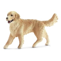 Chiene Golden Retriever