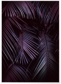 Poster Feuilles de palmier tropical sombre | A3 : 29,7x42cm
