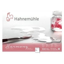 Bloc aquarelle Harmony 300g/m2 12feuilles grain fin A3 - Hahnemühle