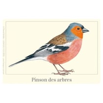 Longue vue editions - Pinson des arbres - Magnet