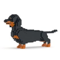 Chien Teckel la queue en l'air noir et feu Taille standard | JEKCA | 14 ans et +