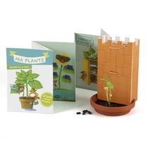 A la découverte du miracle de la germination