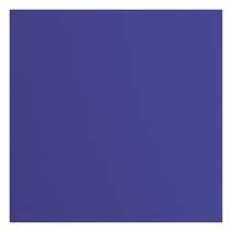 Papier cartonné Florence - Lisse - 20 feuilles - Ink - 30,5 x 30,5 cm - 216 g/m²