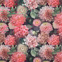 Tissu Toile Canvas fleurs Florombra roses sur fond Noir profond - Au mètre