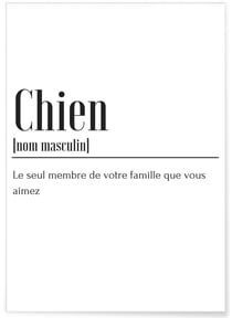 Affiche Définition Chien | A3 : 29,7x42cm