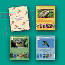 Jeu de 7 familles, les animaux rigolos