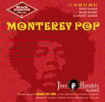 BLACK DIAMOND® – Jimi Hendrix Foundation "Monterey Pop" Argent (11-51)