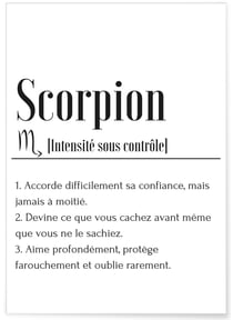 Affiche Définition Scorpion | A3 : 29,7x42cm