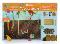 Vivarium Observation racines et vers de terre
