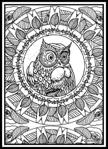 Tableau velours a colorier MANDALA CHOUETTE Sericolor