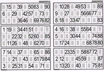 Plaque de 6 grilles de loto rigide 1mm - cartons loto - lotoquine