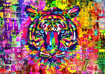 Puzzle 1000 pièces - Wonderful Tiger - Bluebird Puzzle