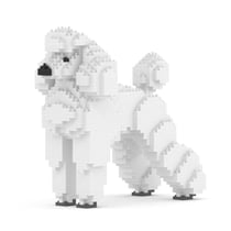 Chien Grand Caniche blanc Taille standard | JEKCA | 14 ans et +