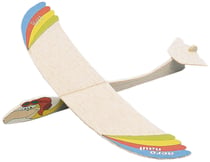 Planeur Bird - Aero-naut