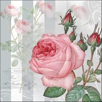 Lot de 4 serviettes en papier découpage collage 33 cm FLEUR ROSE ROSIER F 824