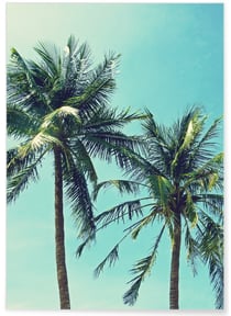 Poster Palm Trees 2 | A3 : 29,7x42cm