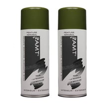 Lot de 2 sprays de peinture - jungle - AMT