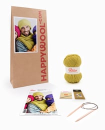 Kit Tricot Bonnet Echarpe Laine Diego ABSINTHE TU