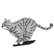 Chat Tigré gris clair qui court | JEKCA | 14 ans et +