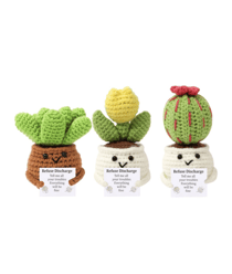 KIT DIY – Les Cactus Positifs by Oké! Vert