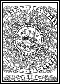 Tableau velours a colorier MANDALA OISEAU Sericolor