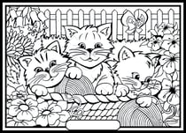 Tableau velours a colorier 3 chatons Sericolor