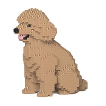 Chien Caniche Nain assis beige Taille standard | JEKCA | 14 ans et +